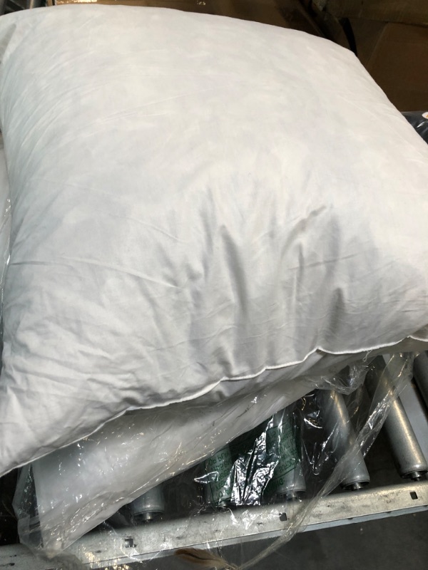 Photo 1 of 2 PACK SQUARE PILLOW 20X20 DOWN FEATHER PILLOW