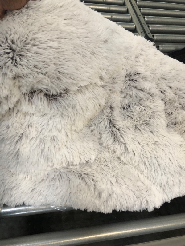 Photo 1 of fluffy white and black pet bed