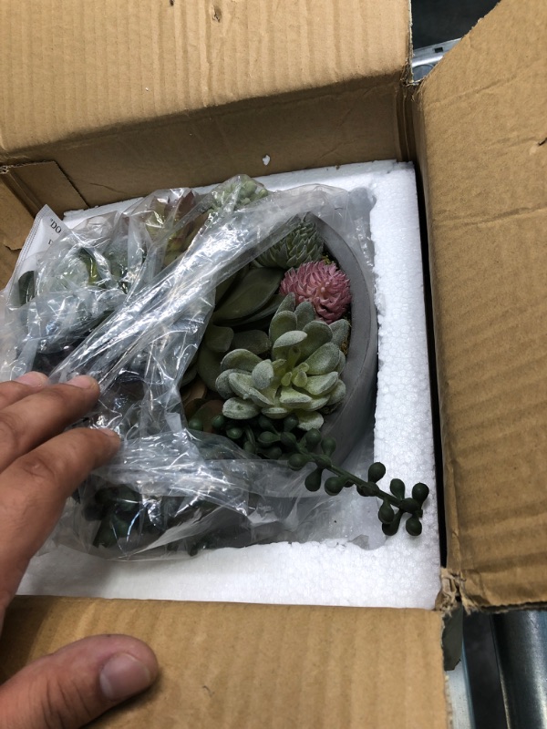 Photo 3 of MyGift 8-Inch Faux Succulent Arrangement, Assorted Fake Plant in Gray Concrete Bowl Planter