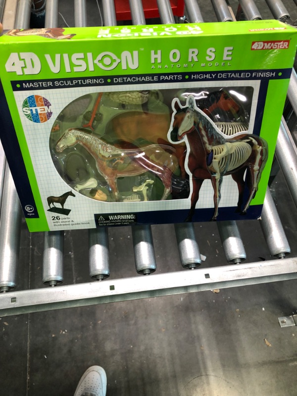 Photo 3 of Tedco 4D Vision Horse Model