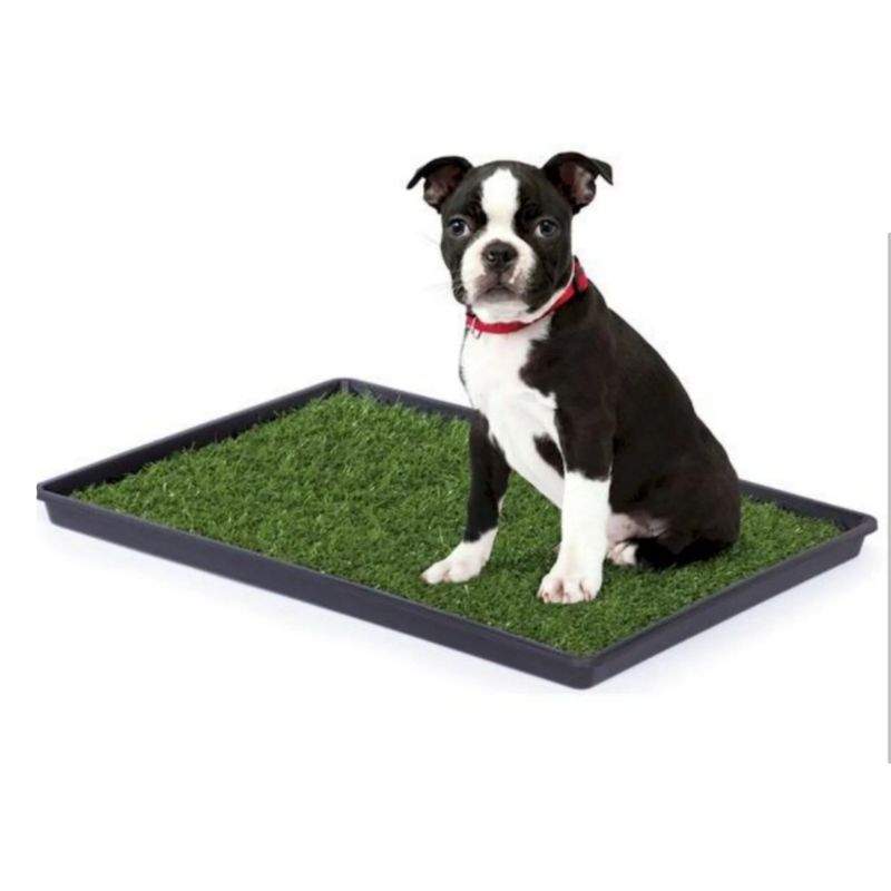 Photo 1 of Mr. Peanut's Potty Place - Artificial Grass Puppy Pad for Dogs and Small Pets – Portable Training Pad with Tray