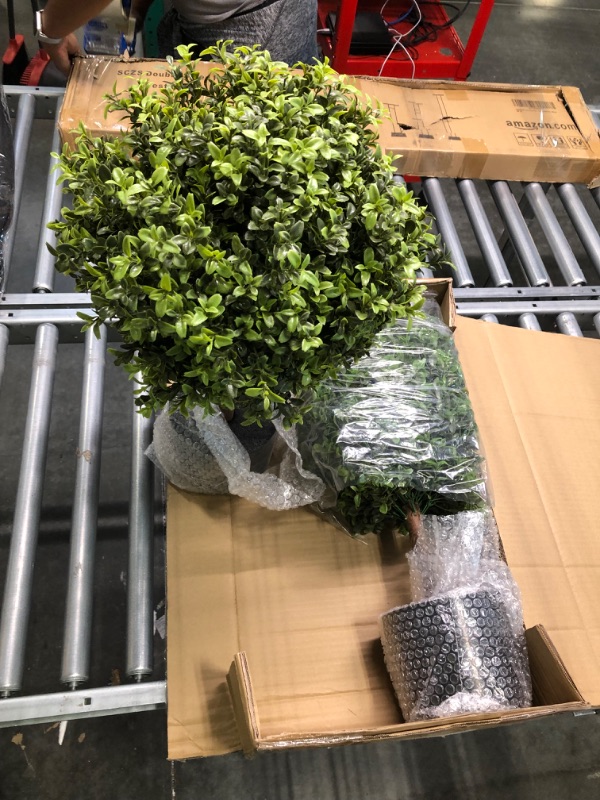 Photo 1 of Artificial Plants - Set of 2 Topiary Trees – 24” High Pre-Potted Boxwood Trees - Artificial Plants for Front Porch Home Office Décor - Topiary Ball for Indoor Outdoor