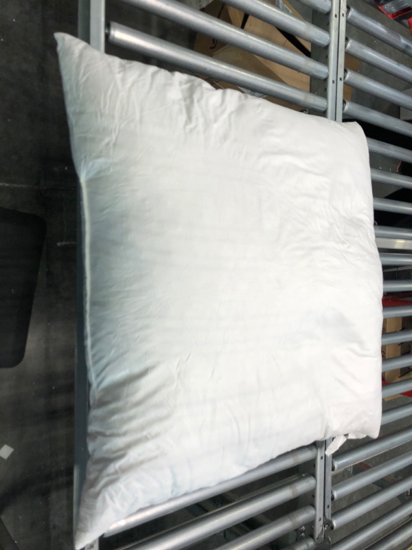 Photo 1 of basic home Euro Pillow Inserts 30x30-Feather and Down Fill - Cotton Fabric 30x30 single