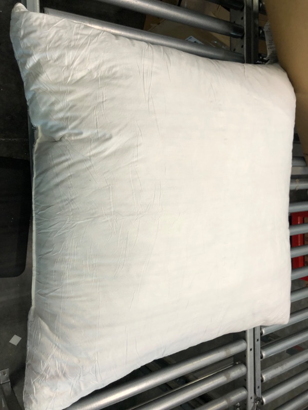 Photo 1 of basic home Euro Pillow Inserts 30x30-Feather and Down Fill - Cotton Fabric 30x30 single