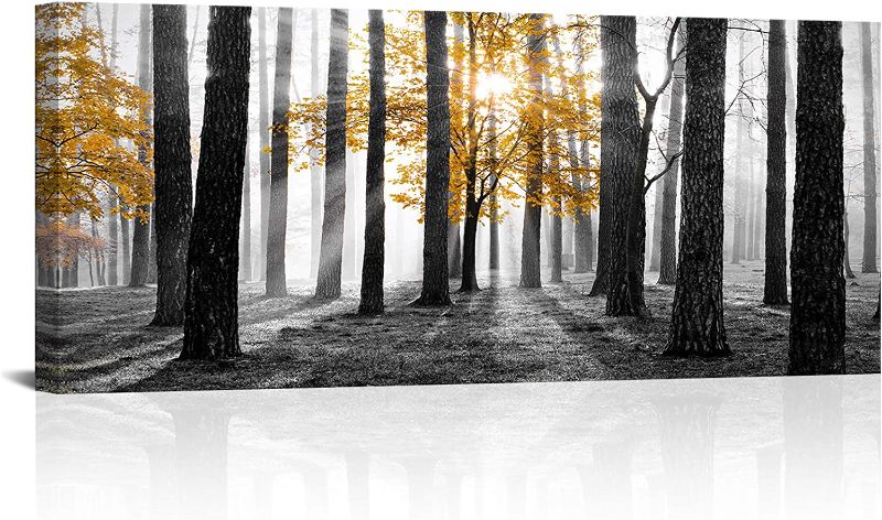 Photo 1 of Kalormore Nature Canvas Wall Art Yellow Tree Sunshine Forest Picture Prints Wall Decor Black and White Autumn Foggy Forest Trees Artwork for Living Room Bedroom Decoration