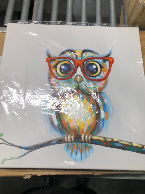Photo 1 of JAPO ART Mrs Owl Wall Art Cute Animal Picture Canvas Giclee Print Colorful Owl Portrait Abstract Artwork Framed Stretched Oil Painting for Home Living Room Bedroom Decoration Ready to Hang 24X24 Inch Owl Print w. Paint 24x24Inch