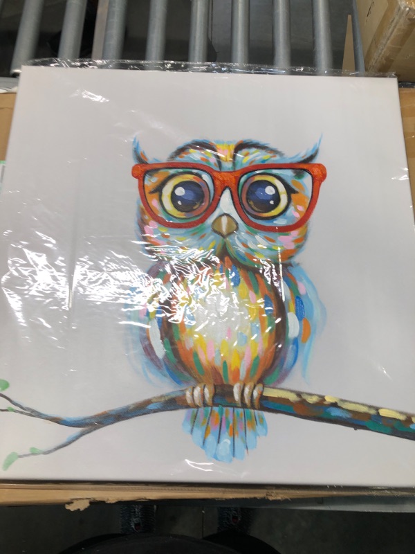 Photo 2 of JAPO ART Mrs Owl Wall Art Cute Animal Picture Canvas Giclee Print Colorful Owl Portrait Abstract Artwork Framed Stretched Oil Painting for Home Living Room Bedroom Decoration Ready to Hang 24X24 Inch Owl Print w. Paint 24x24Inch