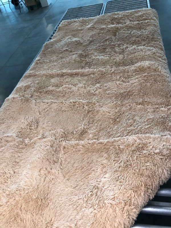 Photo 1 of large to xl rug for bathroom 