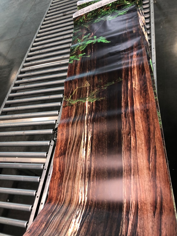 Photo 1 of AFWADFWA Modern 3D The Redwood National Forest Wallpaper Stick and Peel Wall Stickers Removable Wall Paper Mural for Living Room Bedroom TV Background Wall, 254*365