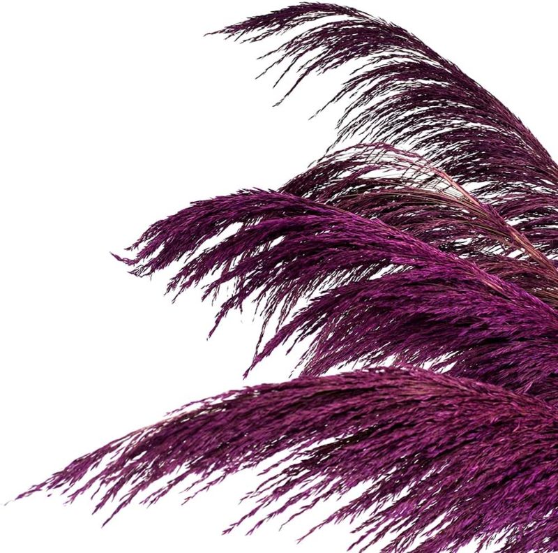Photo 1 of 
Purple Pampas Grass Decor Tall, 8pcs 31.5" Natural Dried Colorful Pompas floral with Dried Plant Aroma, Noble, Romantic ,Elegant Large Dried Flowers for...