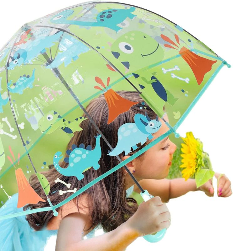 Photo 1 of  Clear and Transparent Umbrella 