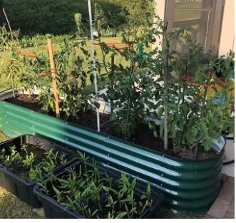 Photo 1 of 17'' Tall  Metal Modular Raised Garden Bed 
