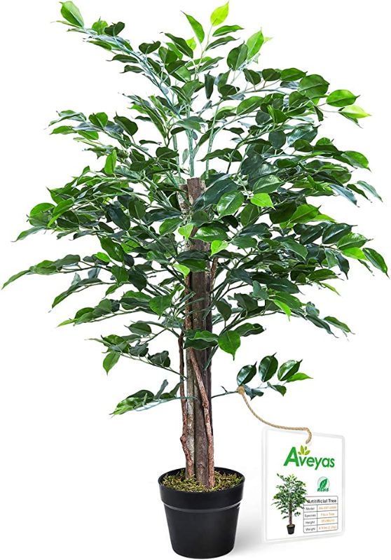 Photo 1 of Aveyas 3ft Artificial Ficus Silk Tree in Plastic Nursery Pot, Fake Plant for Office House Farmhouse Living Room Home Decor ( Indoor / Outdoor )