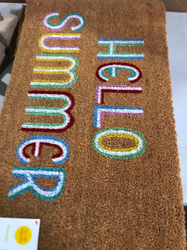 Photo 2 of 16x26 Hello Summer Doormat Brown - Sun Squad 4 pack