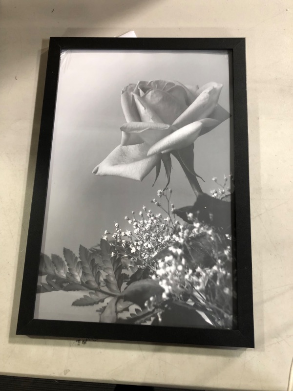 Photo 3 of Americanflat 12x18 Poster Frame, Black 13x19