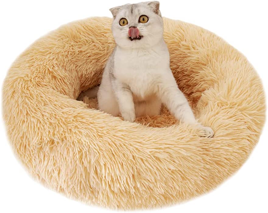 Photo 1 of ALLNEO Detachable Pet Bed