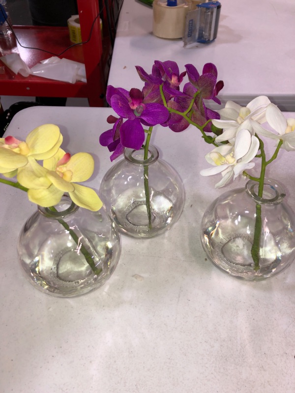Photo 2 of  Phalaenopsis Orchid Artificial Arrangement in Vase (Set of 3) 