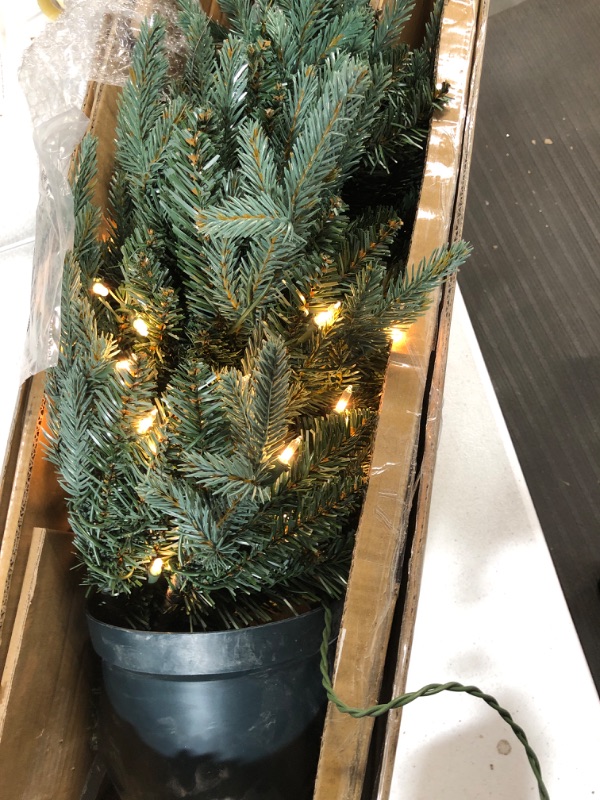 Photo 4 of *USED/SEE NOTES** National Tree Company Artificial Christmas Tree For Entrances | Includes White Lights and Pot | Everyday Collections - 3 ft