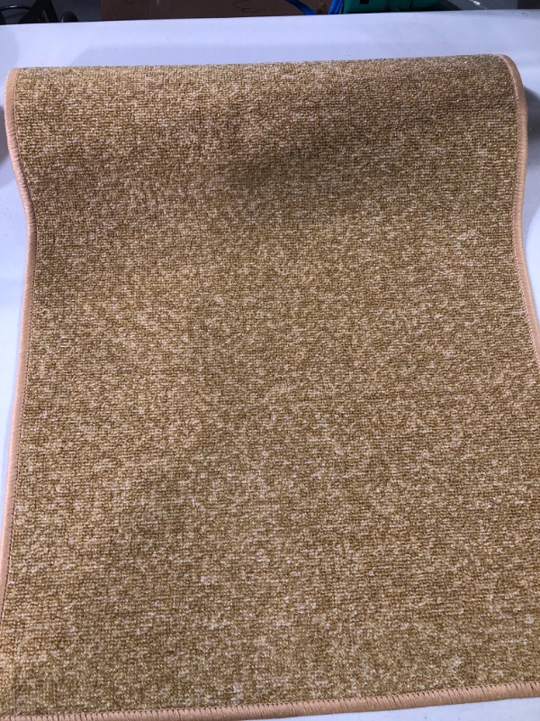 Photo 1 of Ottohome small runner rug