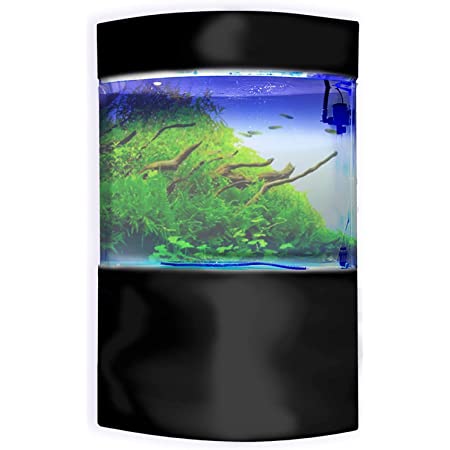 Photo 1 of **SEE NOTES**
Penn-Plax Water World Luxury Large Bow Front Acrylic Aquarium  Storage Top