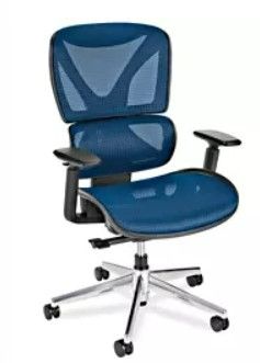 Photo 1 of **SEE NOTES**
Oline ErgoPro Ergonomic Office Chair  (Navy Blue)