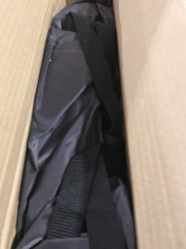 Photo 1 of Baby Delight Alpine Deluxe Portable Bouncer - Black