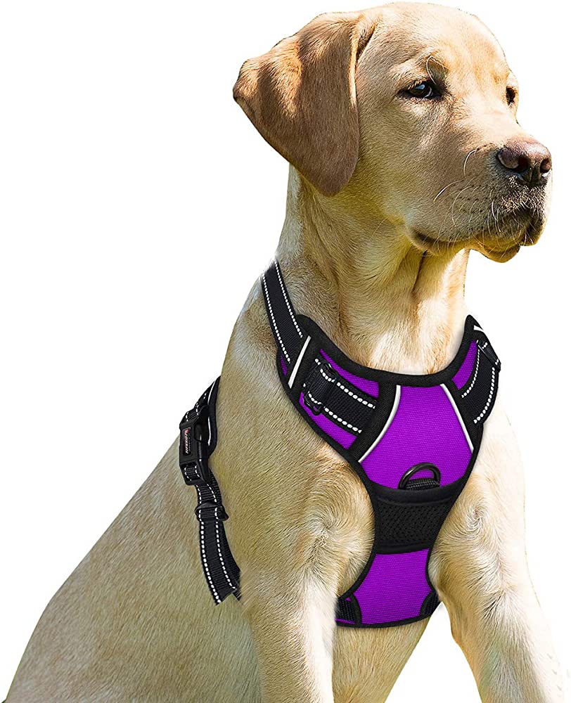 Photo 1 of BARKBAY No Pull Dog Harness Front Clip Heavy Duty Reflective Easy Control Handle for Large Dog Walking(Purple,L)
