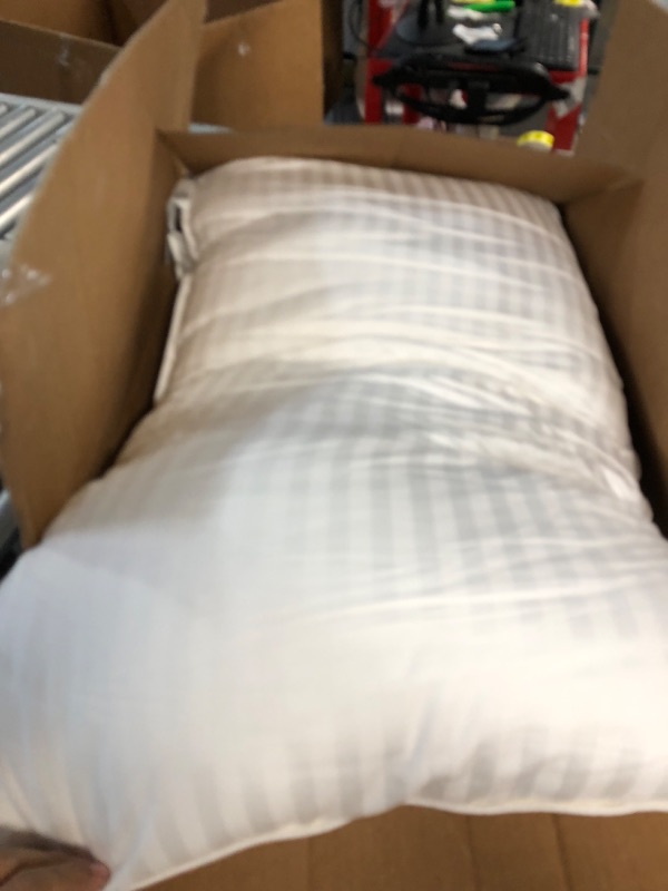 Photo 1 of 2 EXTRA LARGE PILLOWS