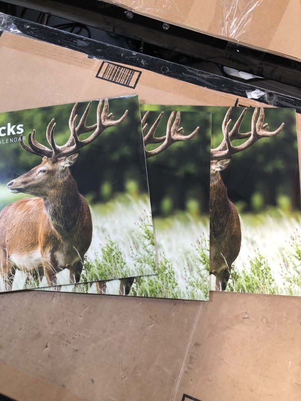 Photo 2 of 3 PACK 2023 Bucks Wall Calendar 