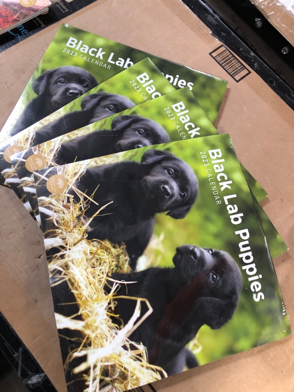 Photo 1 of 4 PACK 2023 Black Lab Puppies Wall Calendar 