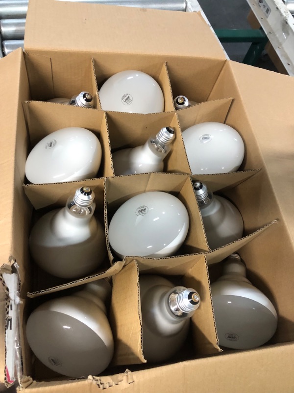 Photo 4 of * missing 2 bulbs *
65-Watt Equivalent BR40 Dimmable E26 Incandescent Light Bulb Soft White