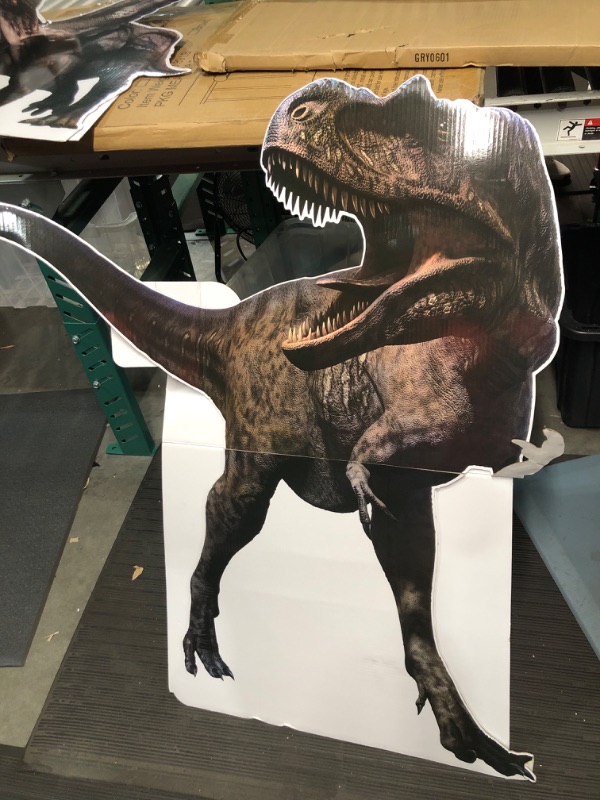 Photo 1 of Dinosaur Birthday Party Decorations 47 Inch Tall T Rex Life Size Cardboard Cutout 32.5 Inch Tall Standup Triceratops Dinosaur Cutouts Standup Dinosaur Photo Props for Classroom Decor