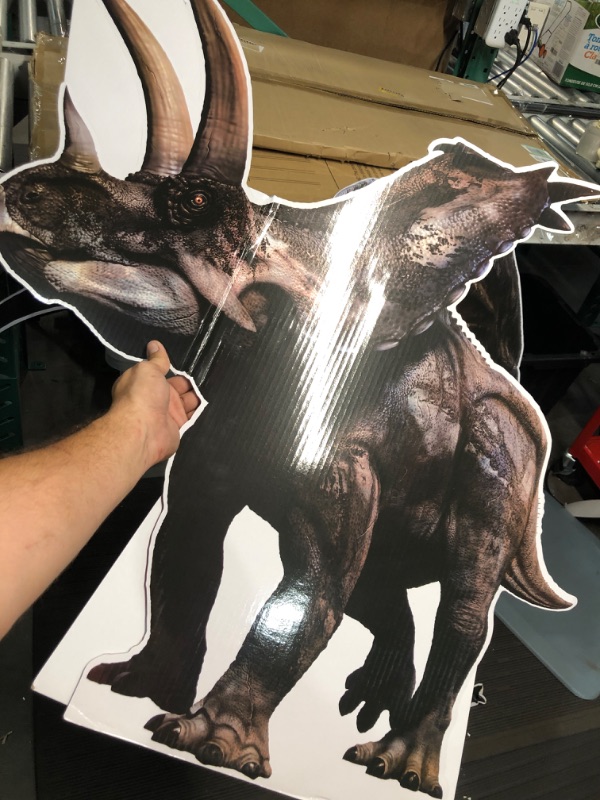 Photo 1 of Dinosaur Birthday Party Decorations 47 Inch Tall T Rex Life Size Cardboard Cutout 32.5 Inch Tall Standup Triceratops Dinosaur Cutouts Standup Dinosaur Photo Props for Classroom Decor