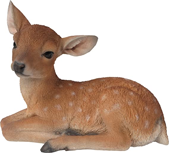 Photo 1 of (PERFECT CONDITION) TAOBIAN Female Deer