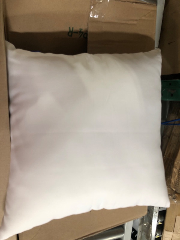 Photo 1 of 16 in pillow insert