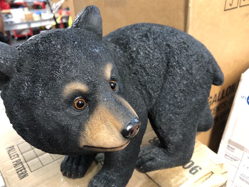 Photo 4 of **SEE NOTES**Design Toscano Roly-Poly Bear Cub Statue, Walking Bear,Full Color