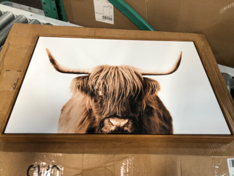 Photo 2 of SIGNLEADER Framed Canvas Print Wall Art Brown Full-Frame Closeup of Highland Cow 16"x24" BROWN FRAME