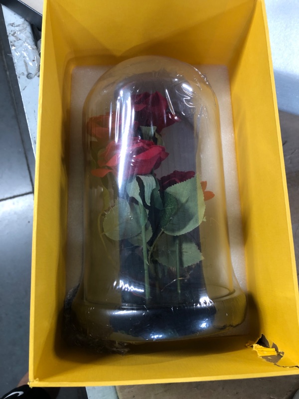 Photo 4 of *APPEARS NEW* Beauty and the Beast Rose,with LED Lights and Falling Petals, Glass Dome Wooden Base, Classic Red