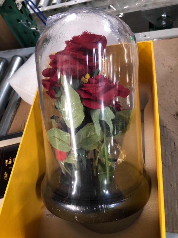 Photo 2 of *APPEARS NEW* Beauty and the Beast Rose,with LED Lights and Falling Petals, Glass Dome Wooden Base, Classic Red