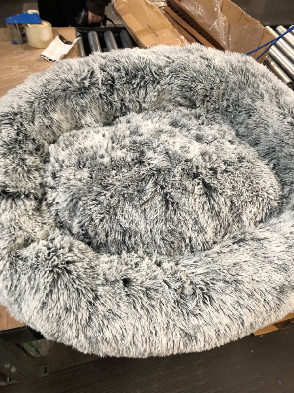 Photo 2 of 35x31 doughnut Dog Bed 