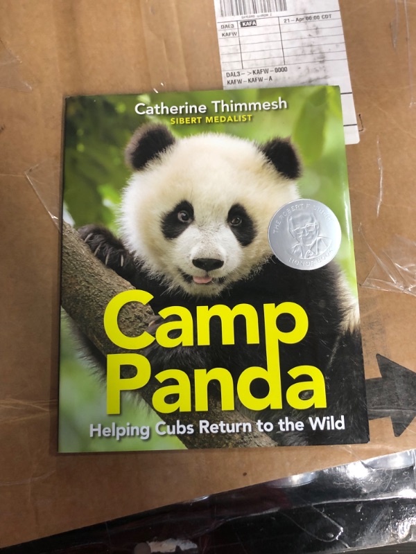 Photo 2 of Camp Panda: Helping Cubs Return to the Wild