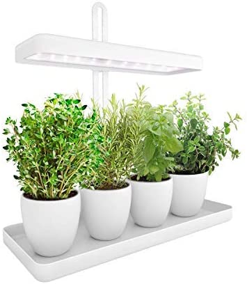 Photo 1 of ***SEE NOTES***Garden, Height Adjustable Plant Grow Indoor Garden Light, LED Germination Kit 