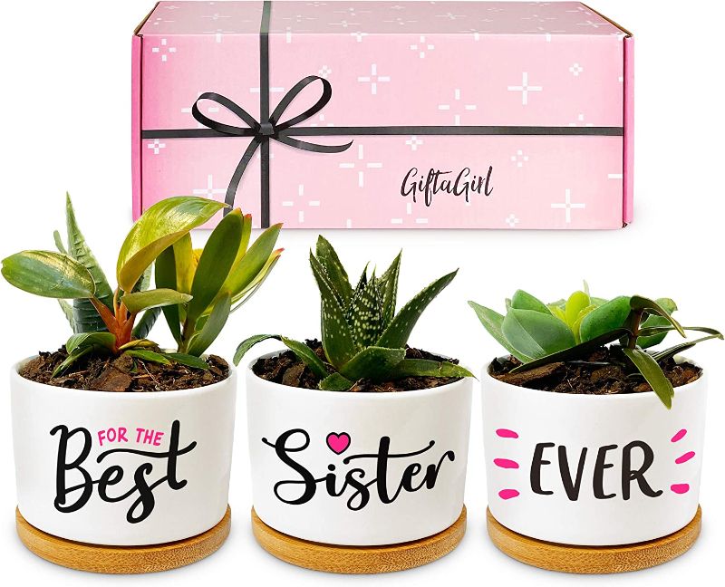 Photo 2 of ****SEE NOTES***
Best Friend Succulent Pots for Housewarming Gifts with Beautiful Gift Box