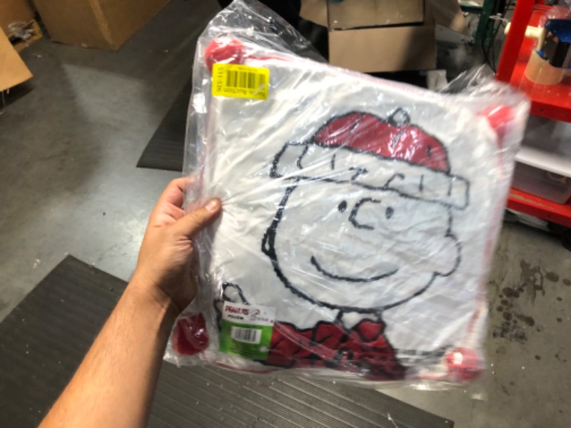 Photo 4 of Dan Dee Peanuts | 14" Officially Licensed & Collectible Decorative Pillow | Charlie Brown, White Charlie Brown Pillow