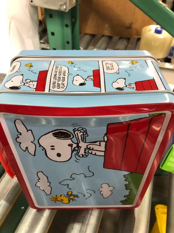 Photo 3 of AQUARIUS Peanuts Snoopy Red Dog House Fun Box