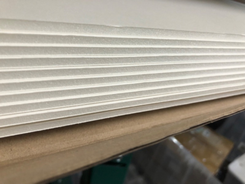 Photo 1 of Union Strong Foam Board 24X36 3/16" 10-Pack