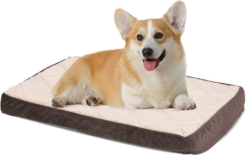 Photo 1 of Pet Paradise Dog Beds  Pet up to 77 lbs?Large, Brown?