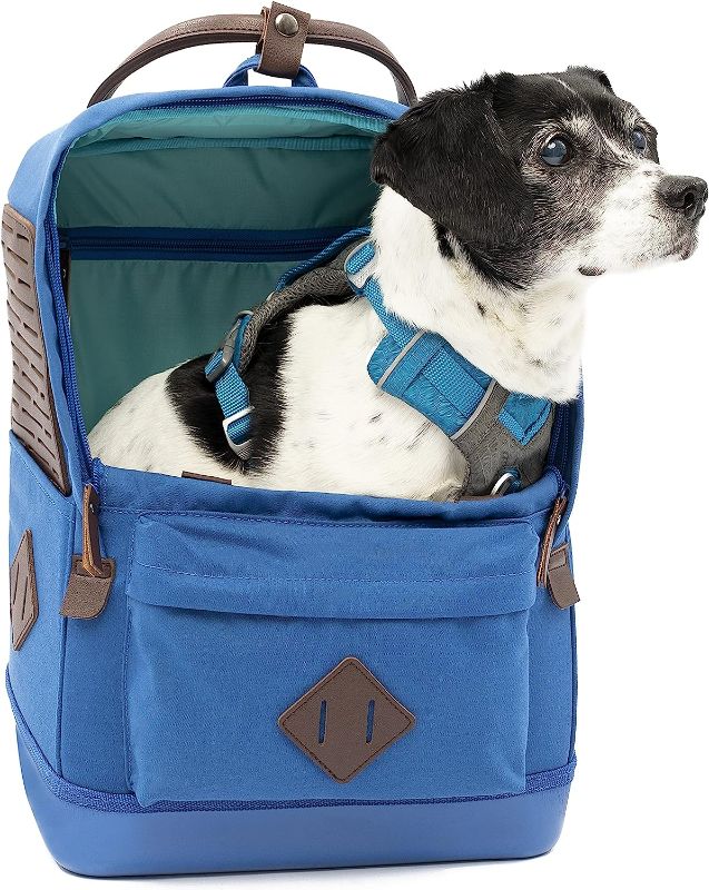 Photo 1 of ***item used***has signs of wear and tear***
Kurgo Nomad - Dog Carrier Backpack, Hiking Backpack - For pets up to 15 lbs (Nomad) Blue