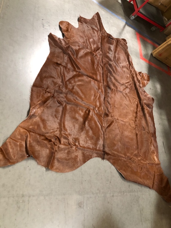 Photo 1 of **SEE NOTES**
Genuine Brown Cowhide Rug 6 x 6 - 7 ft. 180 x 210 cm