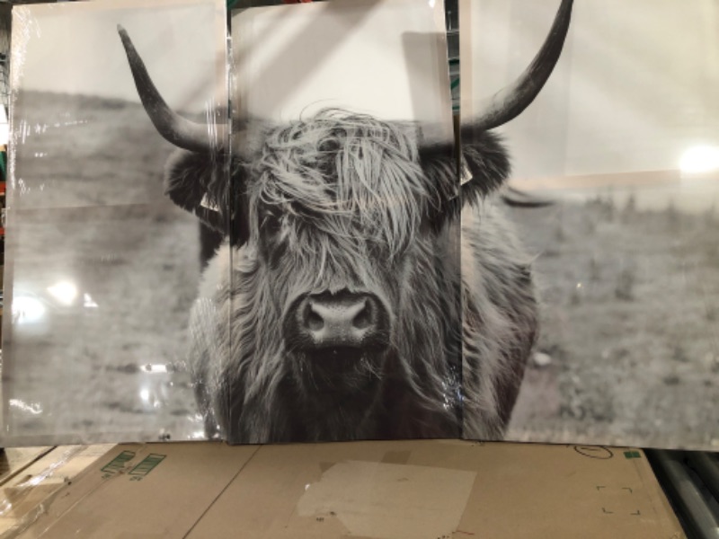 Photo 2 of TUMOVO 3 Panel Black and White Highland Cow Painting , 60" Wx40 H  